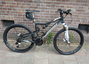 Cannondale Topstone 2021